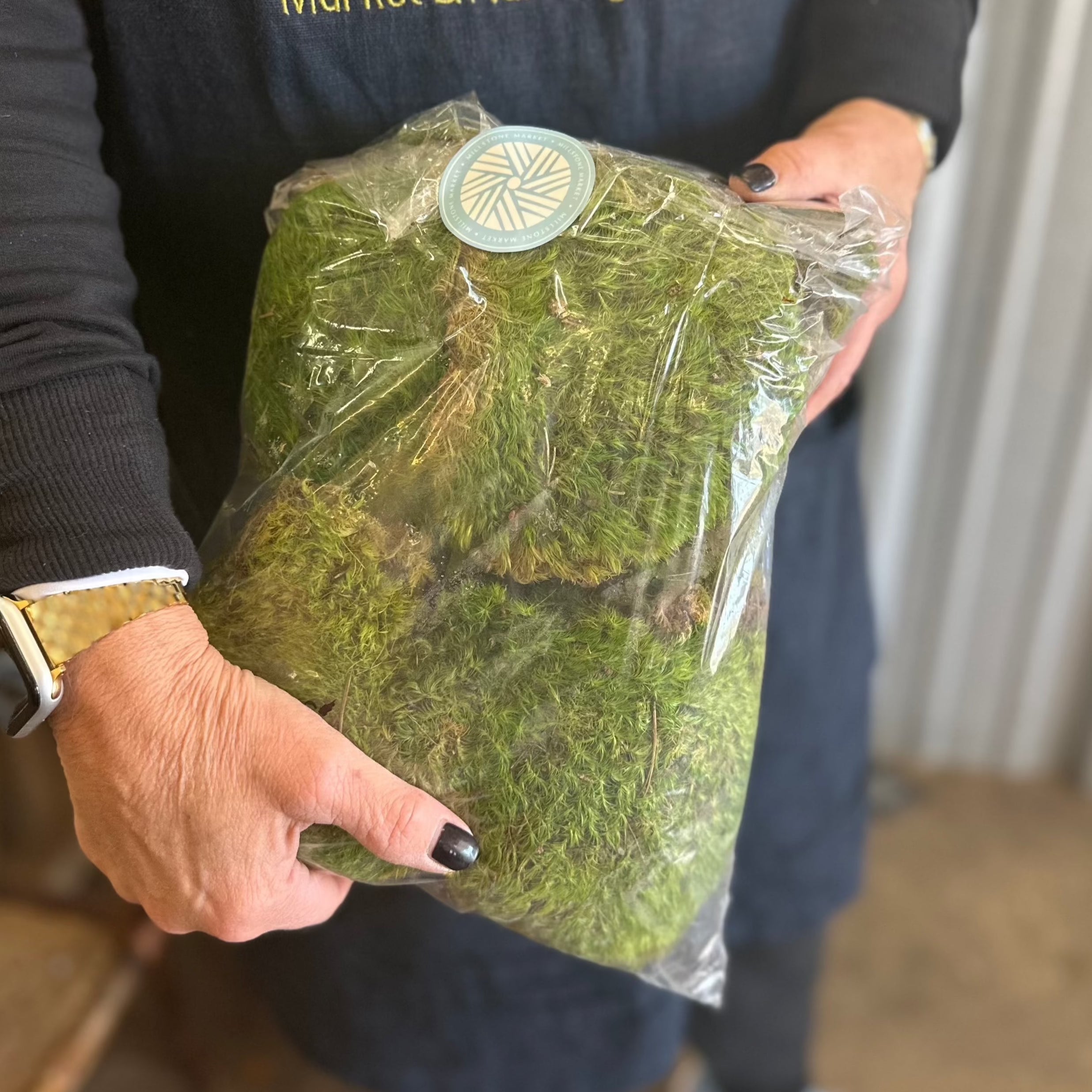 BAG OF SHEET MOSS