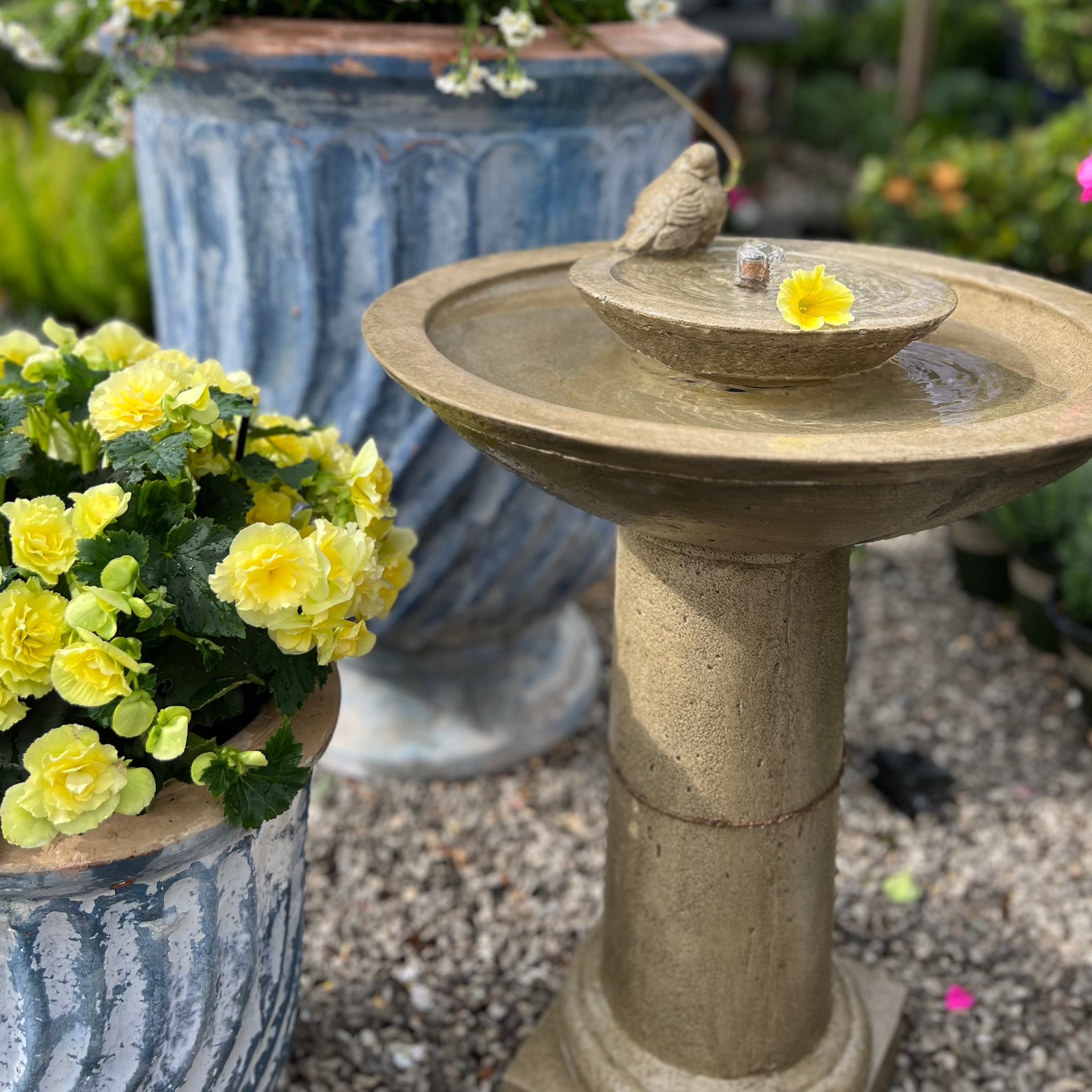 AYA FOUNTAIN