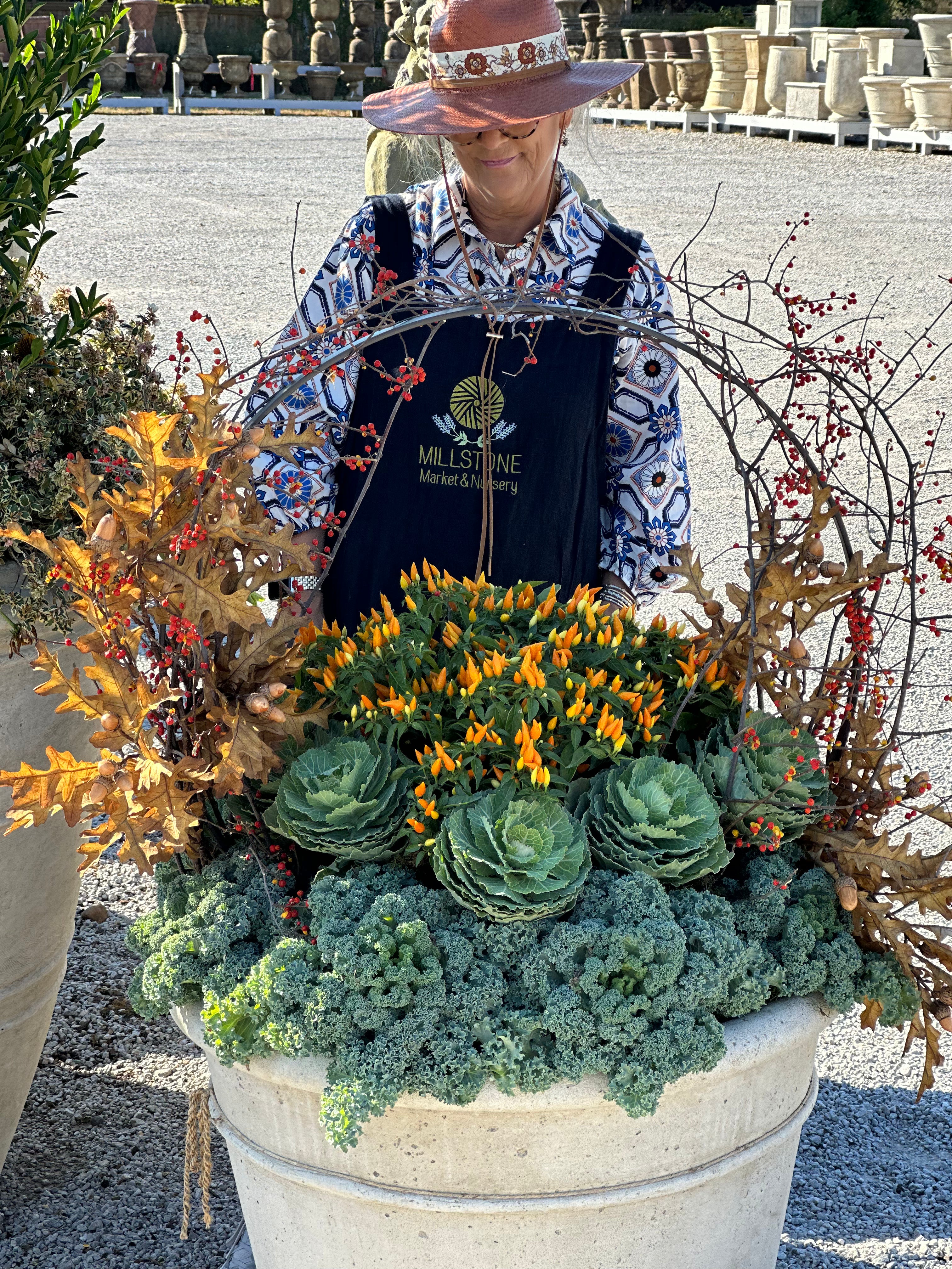 CAREMA PLANTER