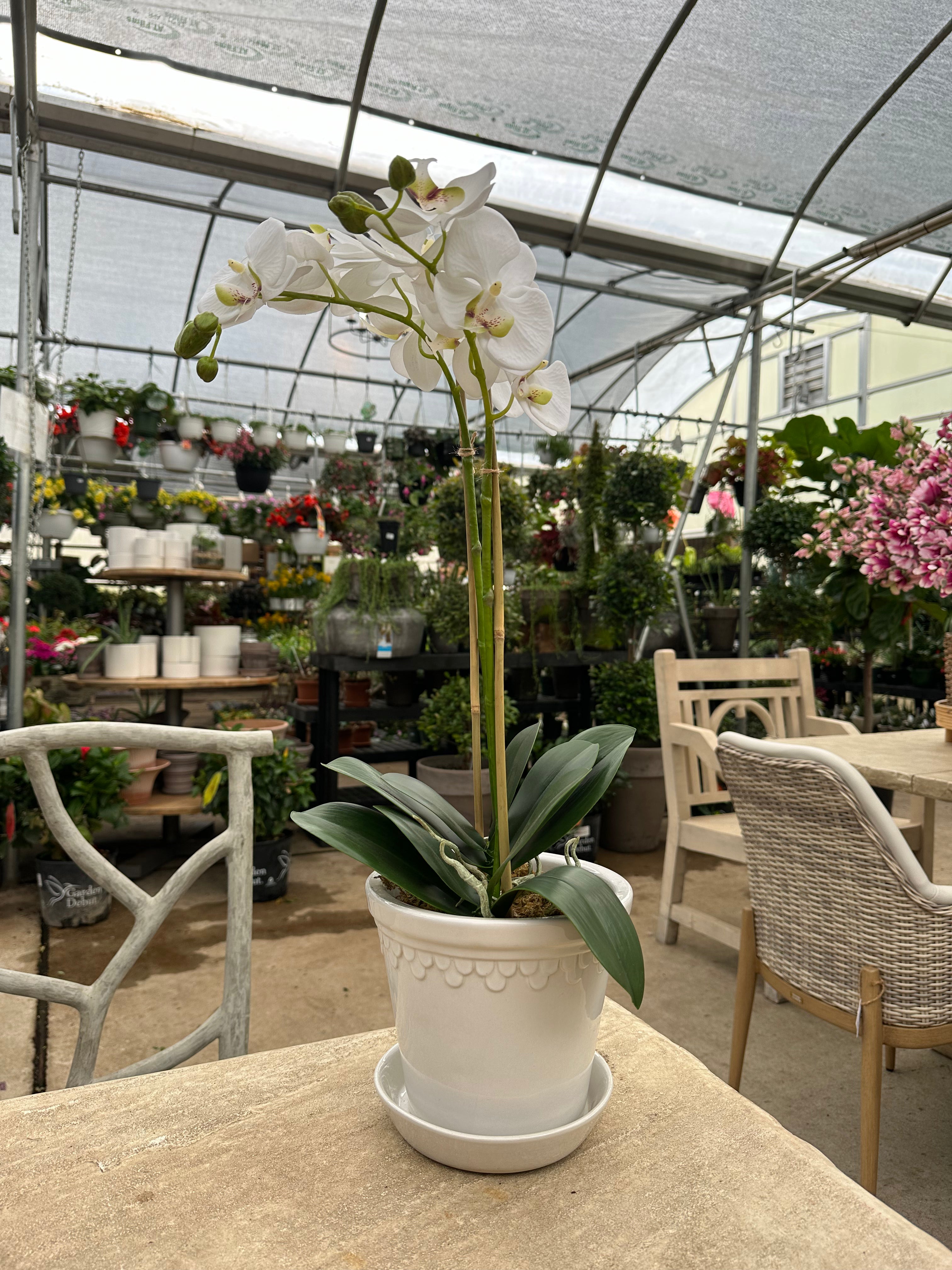FAUX ORCHID 23" DROP IN
