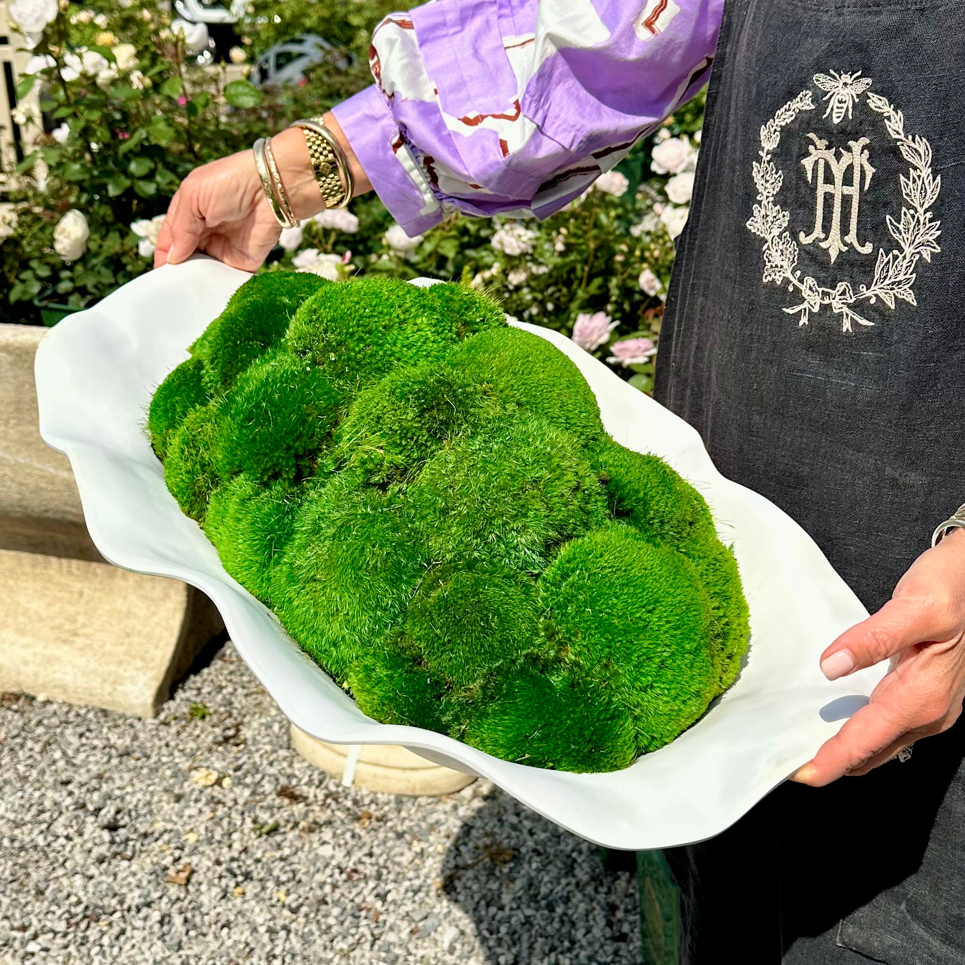 VIDA NUBE MOSS MOUND