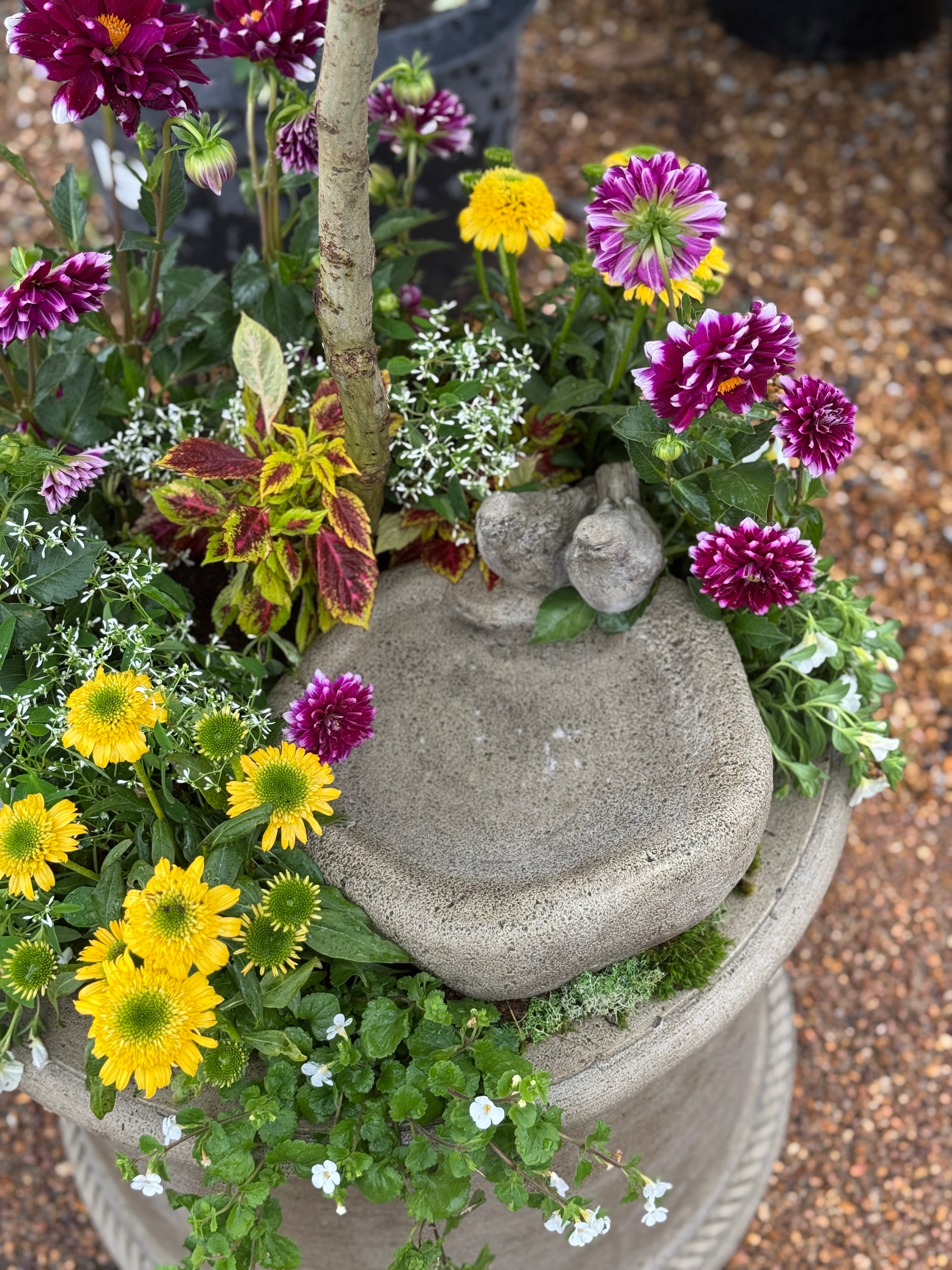 GRAMERCY PLANTER