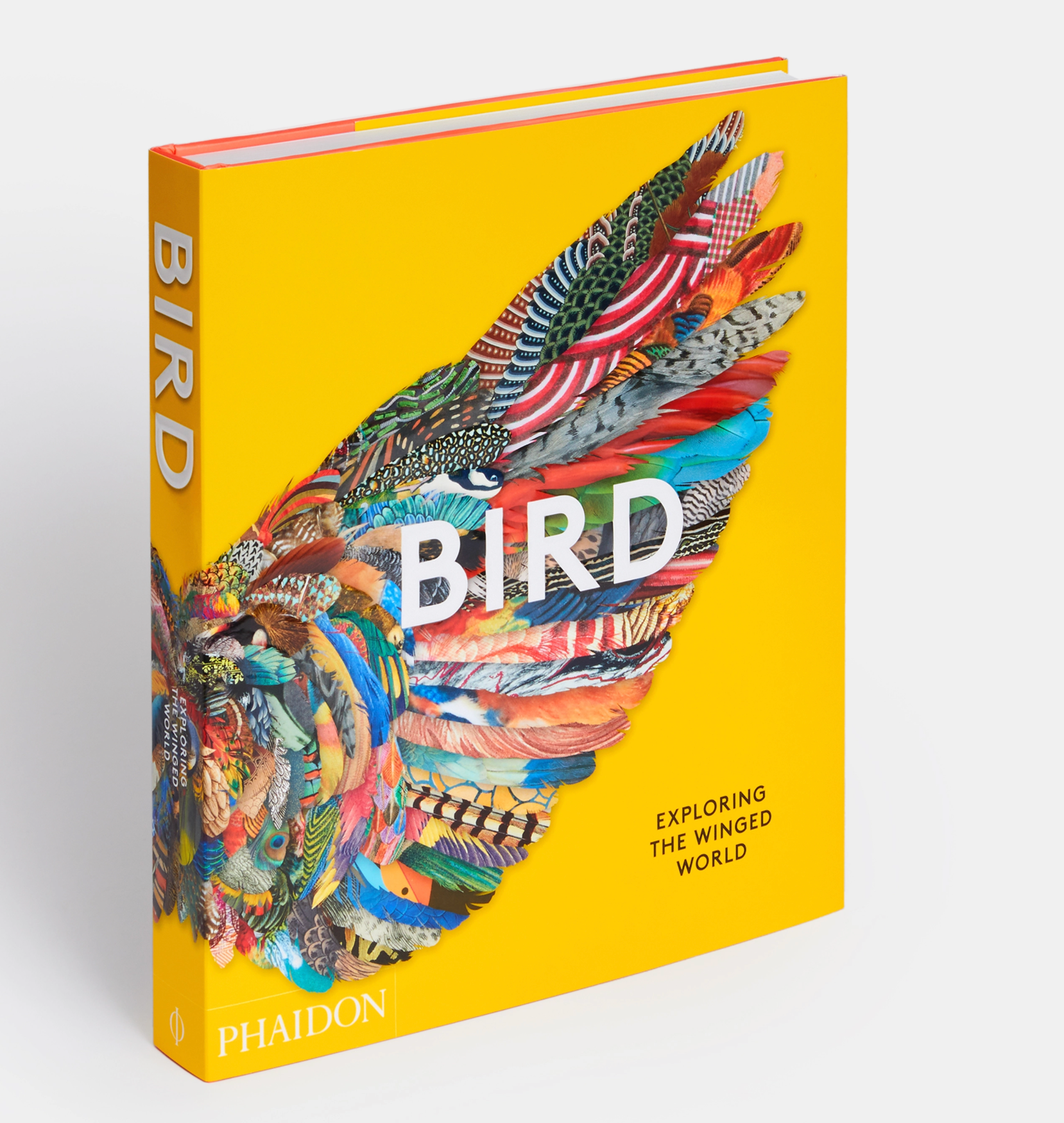BIRD: EXPLORING THE WINGED WORLD