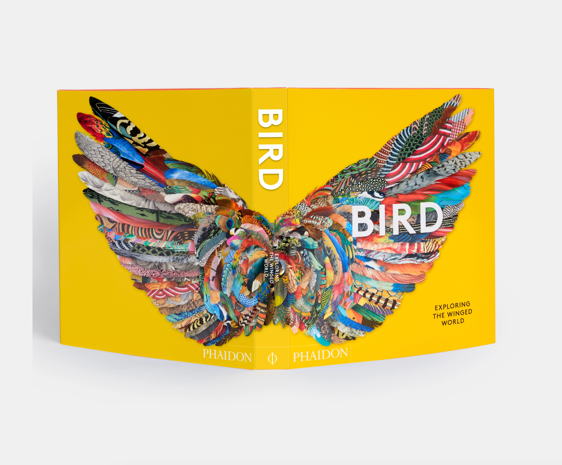 BIRD: EXPLORING THE WINGED WORLD